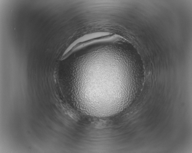 X0000069790772200605261656