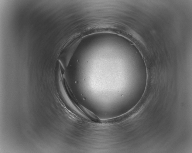 X0000069790777200605261656