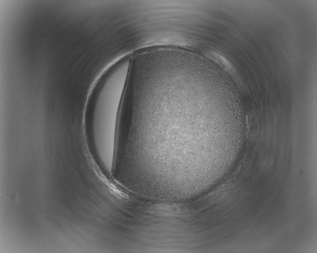 X0000069790780200605261656