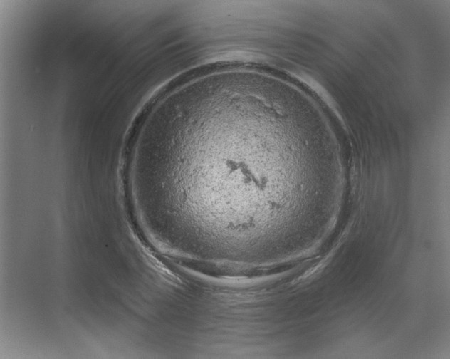 X0000069790783200605261655