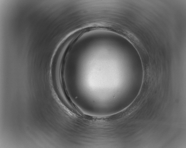 X0000069790784200605261655