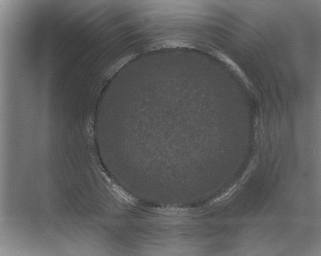 X0000069790785200605261655