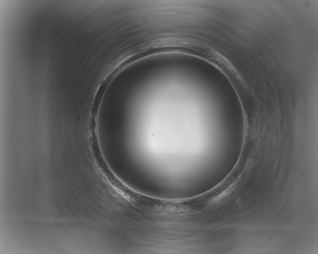 X0000069790786200605261655