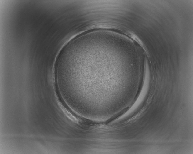 X0000069790787200605261655