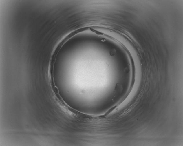 X0000069790788200605261655