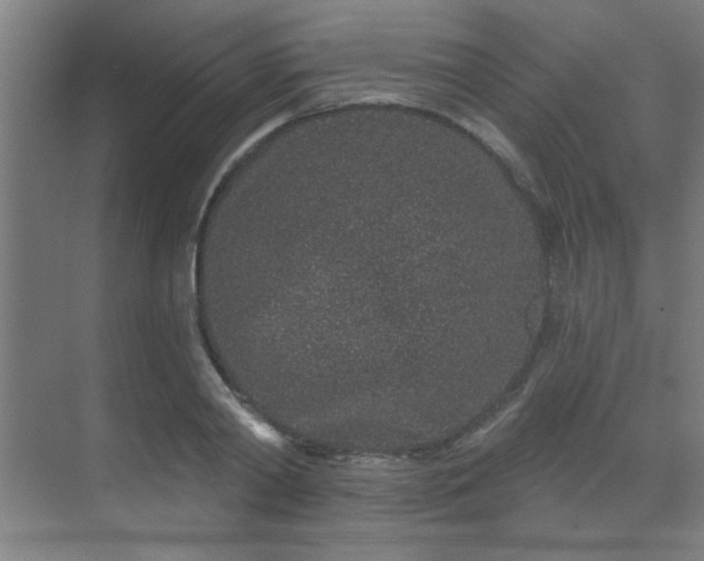 X0000069790790200605261655