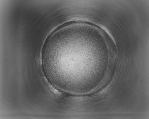 X0000069790791200605261655