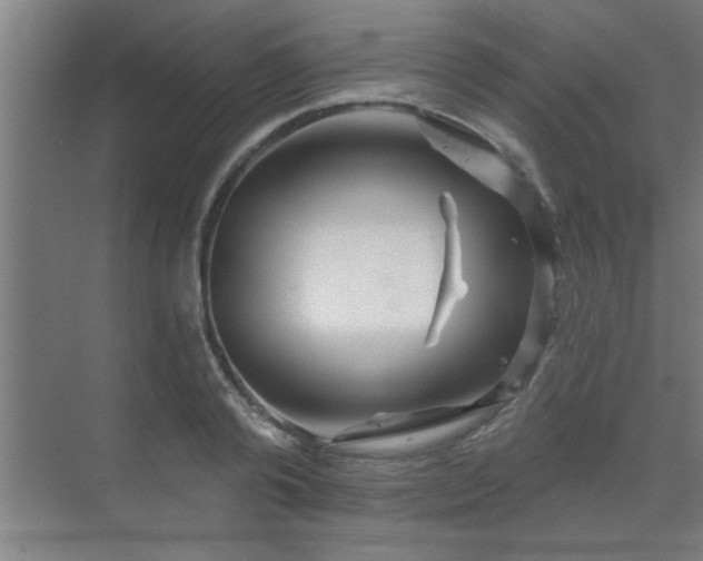 X0000069790792200605261655