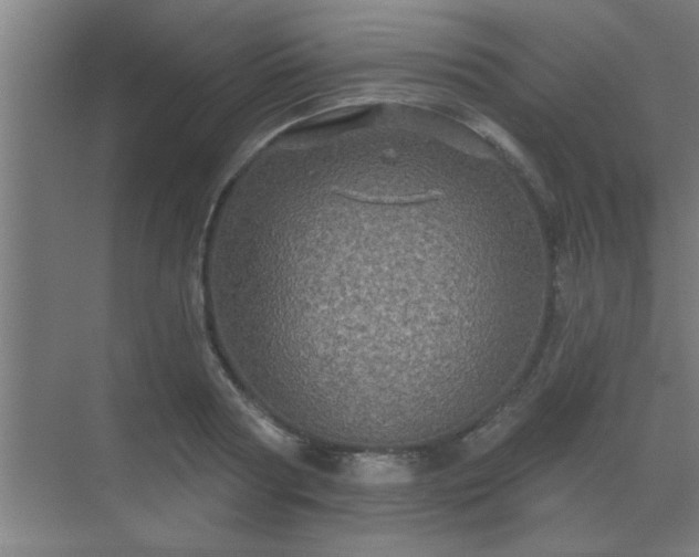 X0000069790794200605261655