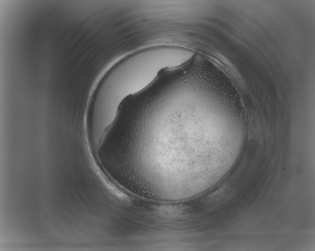 X0000069790796200605261655