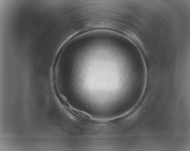 X0000069790798200605261655