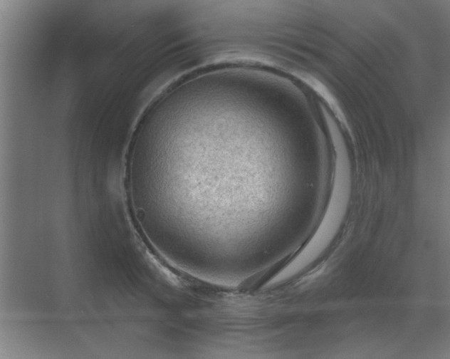 X0000069790799200605261655