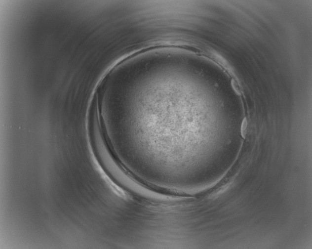 X0000069790803200605261655