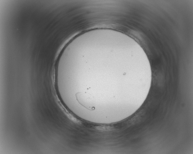 X0000069790804200605261655