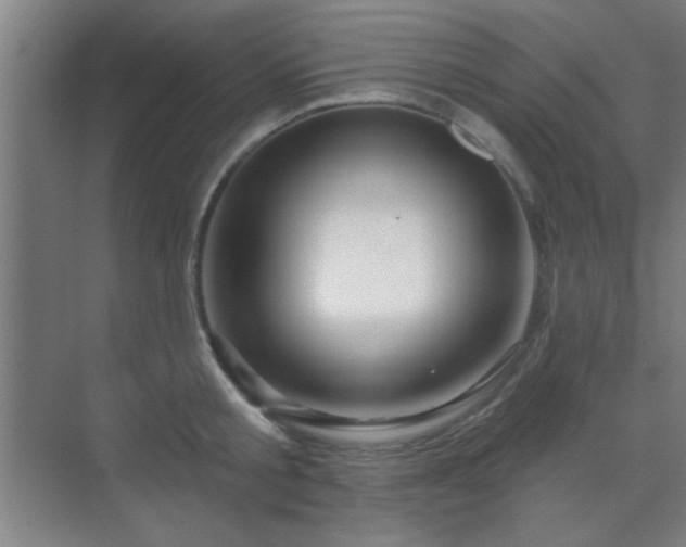 X0000069790805200605261655