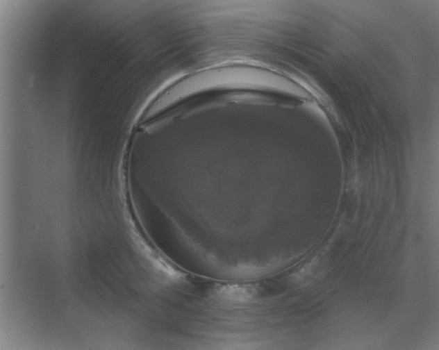 X0000069790806200605261655