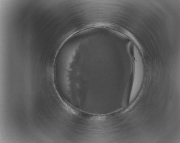 X0000069790810200605261655