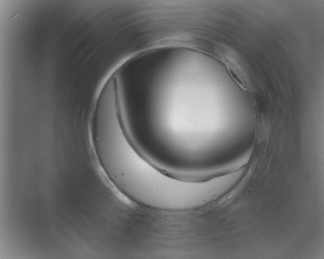 X0000069790812200605261655