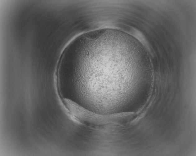 X0000069790814200605261655