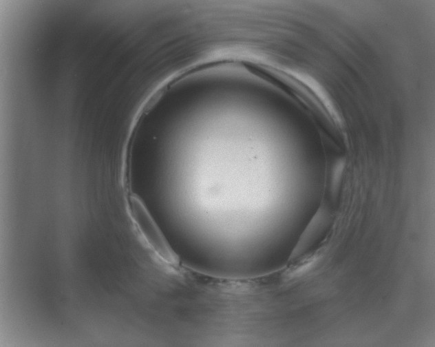 X0000069790815200605261655