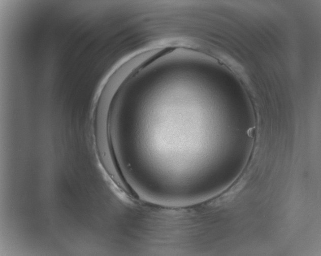 X0000069790816200605261655