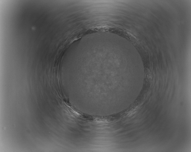 X0000069790818200605261654