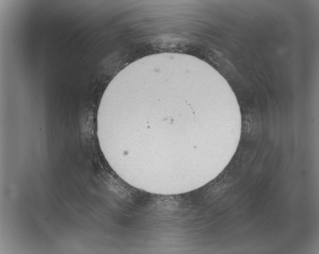 X0000069790820200605261654