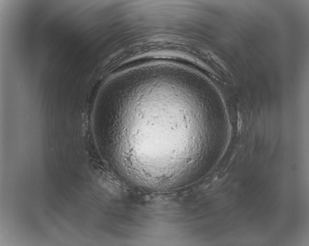 X0000069790821200605261654