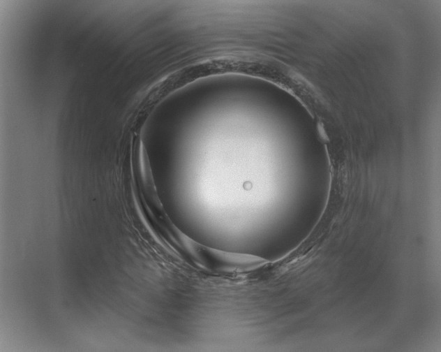 X0000069790822200605261654