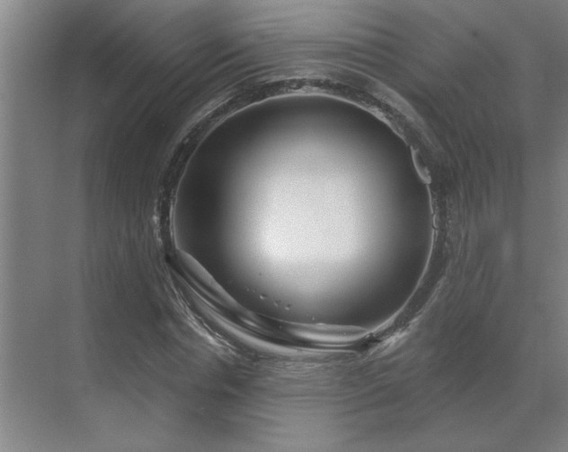 X0000069790826200605261654