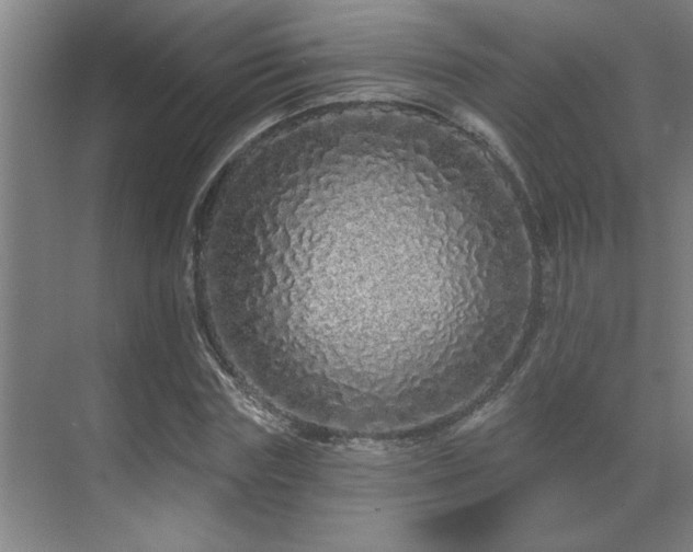 X0000069790827200605261654