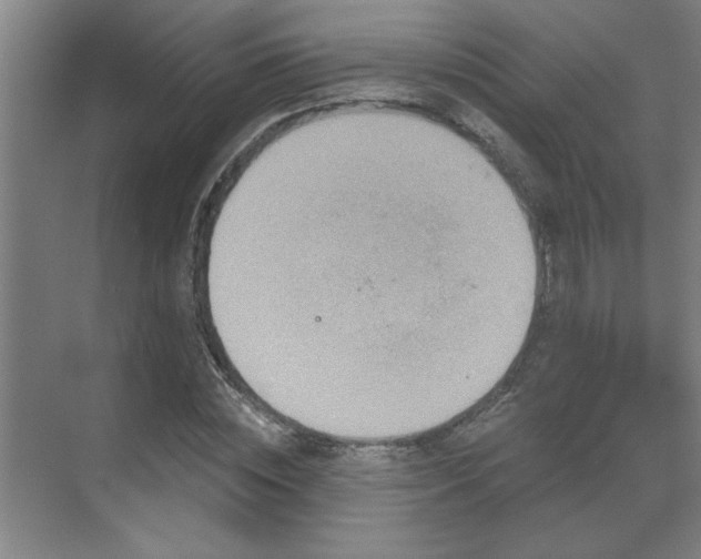 X0000069790828200605261654