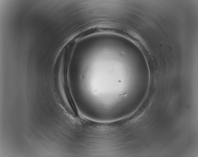 X0000069790829200605261654