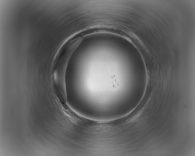 X0000069790830200605261654