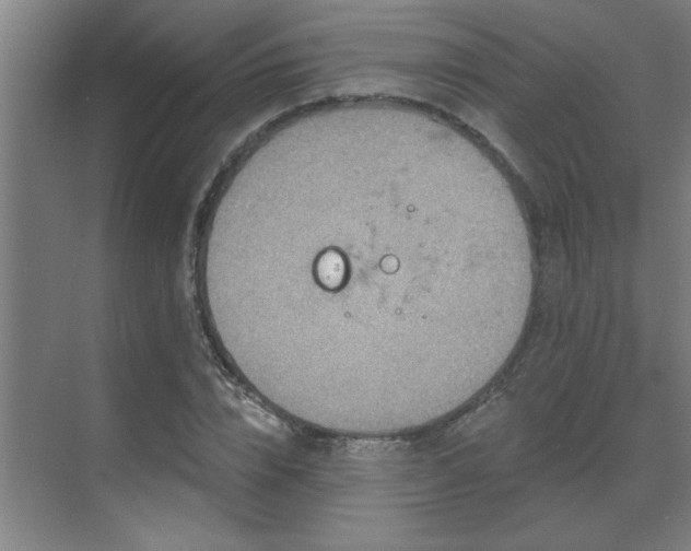 X0000069790832200605261654