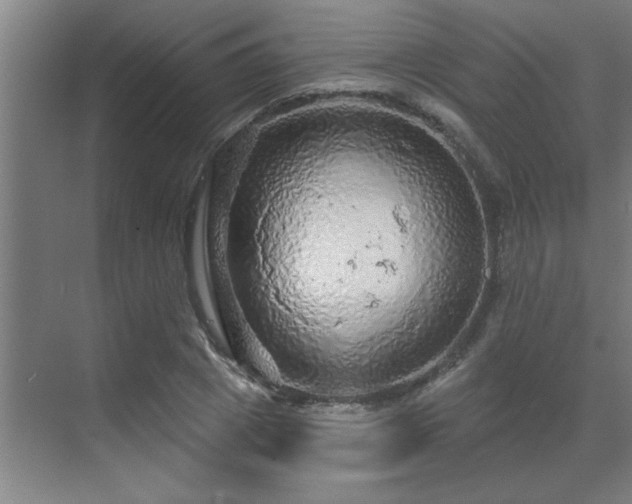 X0000069790833200605261654