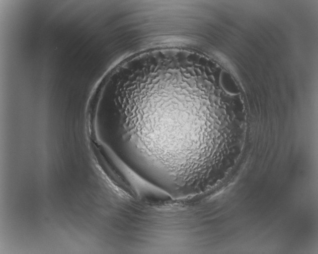 X0000069790835200605261654