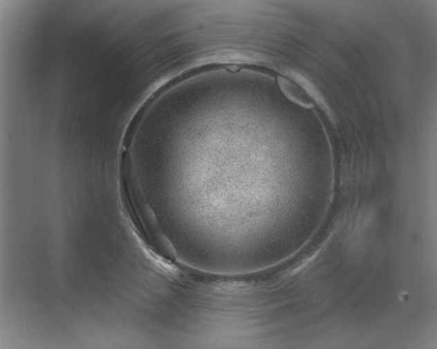 X0000069790837200605261654