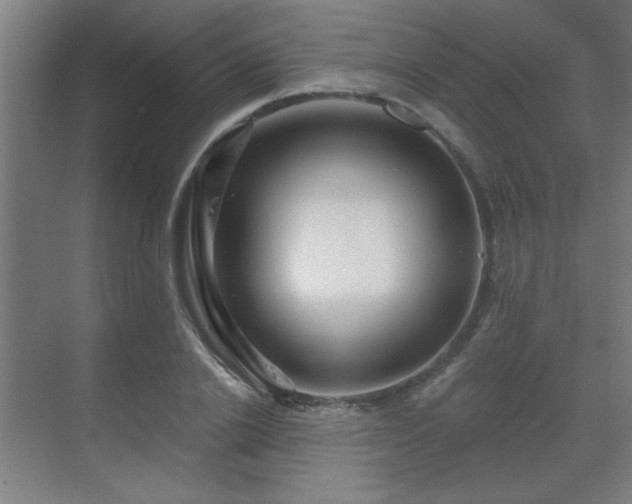 X0000069790838200605261654