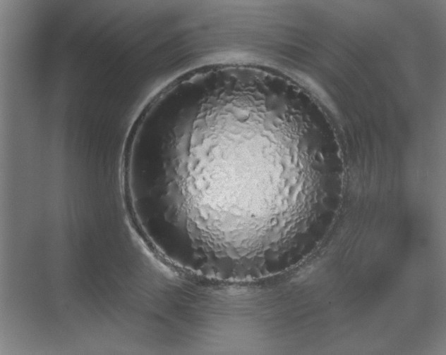 X0000069790839200605261654