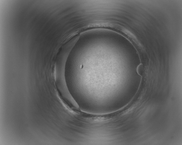 X0000069790841200605261655