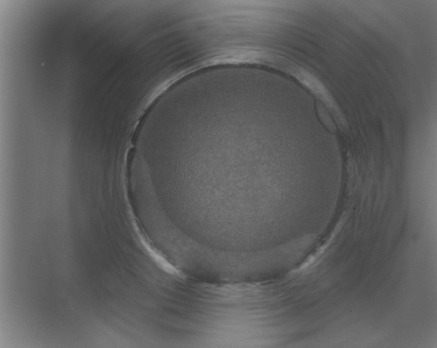 X0000069790842200605261655