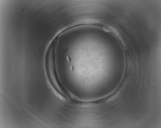 X0000069790843200605261655