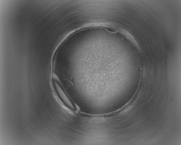 X0000069790844200605261655