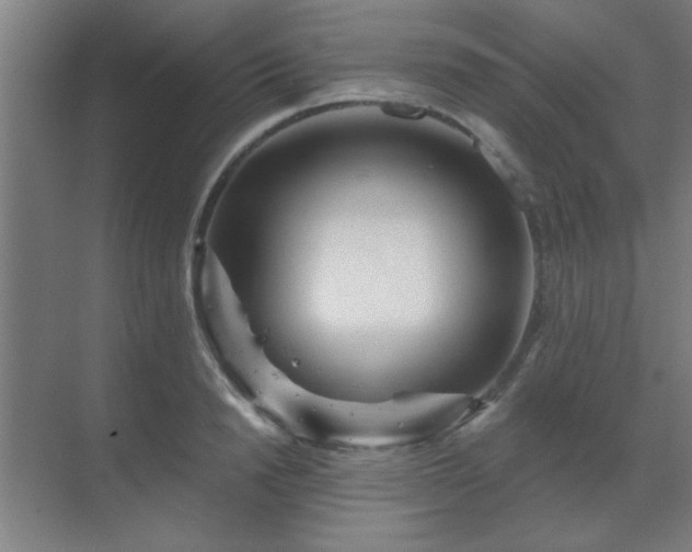 X0000069790846200605261655