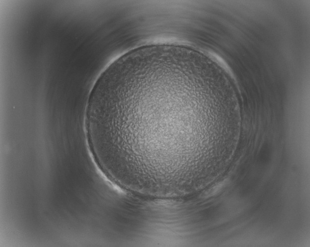 X0000069790847200605261655