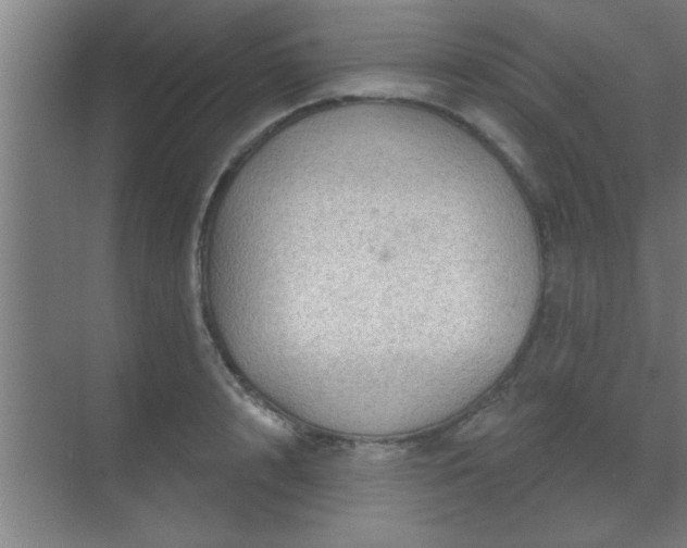 X0000069790848200605261655