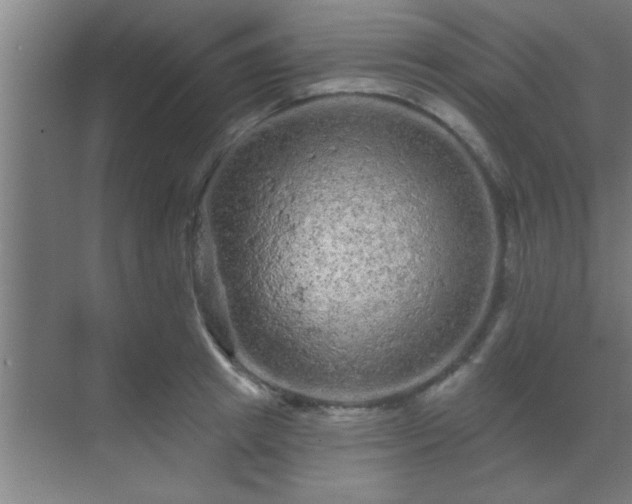 X0000069790849200605261655