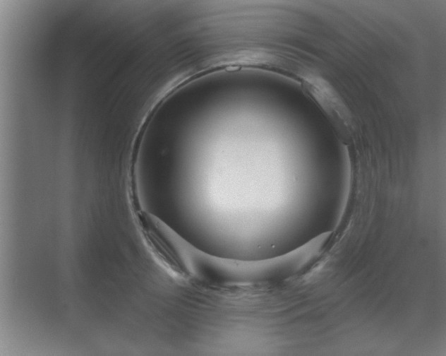 X0000069790850200605261655