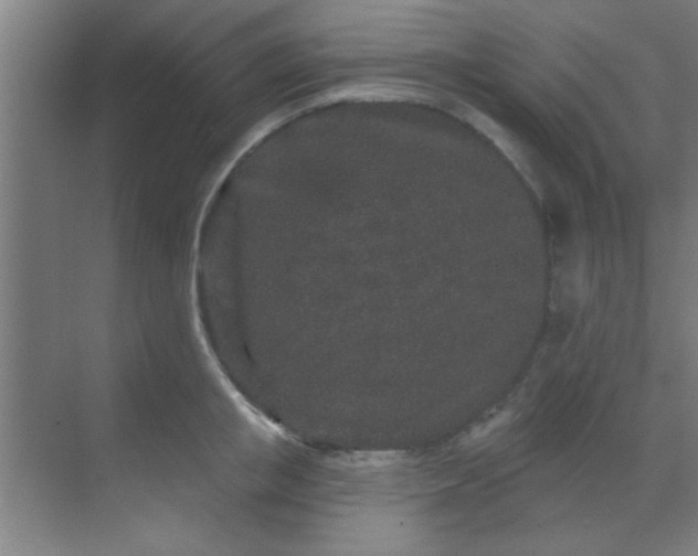 X0000069790853200605261655